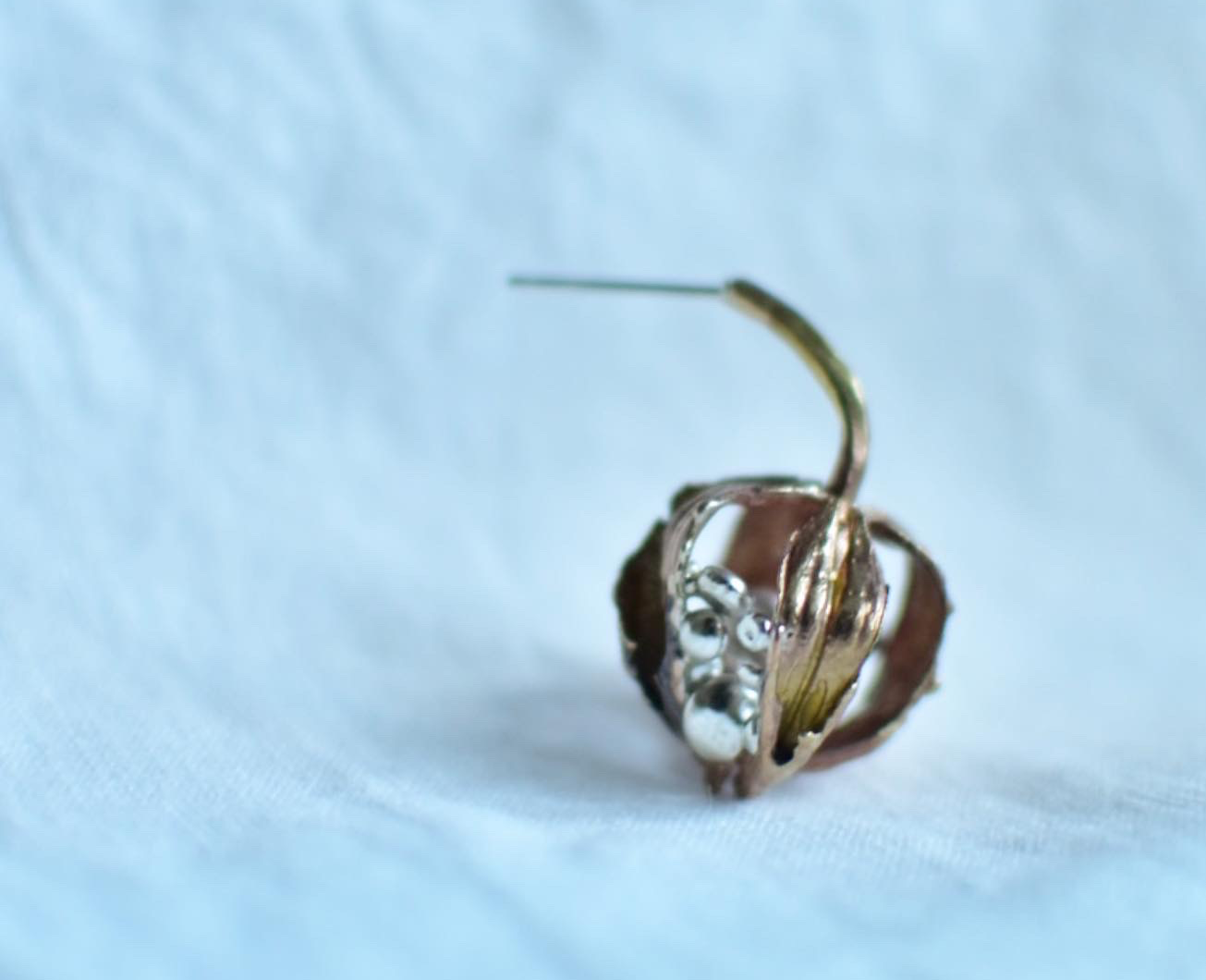 カクウショクブツ