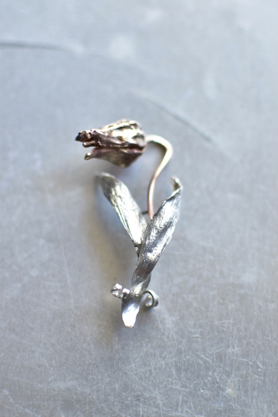 クレマチスの花とチューリップの花びら